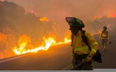 Once fallecidos y ocho heridos en Los Gallardos: la mayor tragedia en un incendio forestal de Andalucía