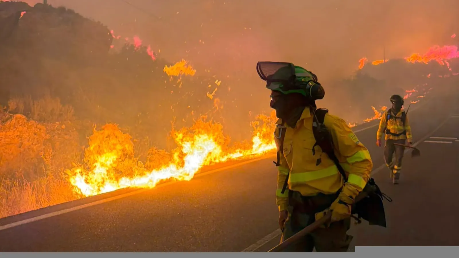 Once fallecidos y ocho heridos en Los Gallardos: la mayor tragedia en un incendio forestal de Andalucía